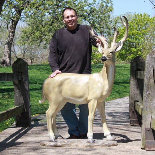 Custom Painted Lifesize White Tail Deer 64 Outdoor/Indoor Statue - Bella Statues