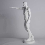 Anatomy Of Man Outdoor/Indoor Statue - Bella Statues