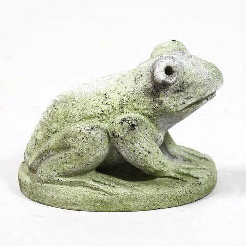 Hypno Frog Outdoor/Indoor Statue - Bella Statues