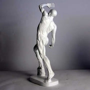 Anatomy Of Man Outdoor/Indoor Statue - Bella Statues