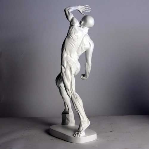Anatomy Of Man Outdoor/Indoor Statue - Bella Statues