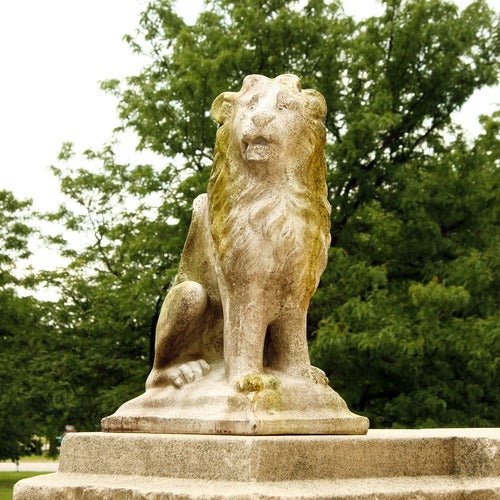 Sitting Lion Right 24 Outdoor/Indoor Statue - Bella Statues
