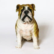 Custom Painted BULL DOG Outdoor/Indoor Statue - Bella Statues
