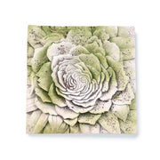 Rose Plaque Outdoor/Indoor Statue - Bella Statues