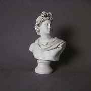 Apollo Bust Small 14 H Outdoor/Indoor Statue - Bella Statues