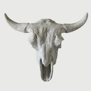 Cow Skull Outdoor/Indoor Statue - Bella Statues
