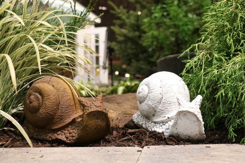 Little Snail Outdoor/Indoor Statue - Bella Statues