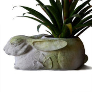 Rabbit Planter Outdoor/Indoor Statue - Bella Statues
