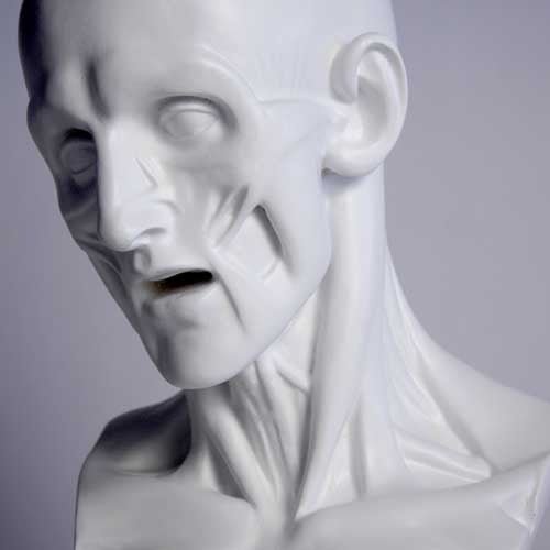 Anatomy Bust Outdoor/Indoor Statue - Bella Statues