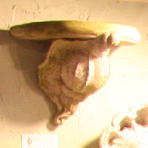 Conch Shell Bracket Outdoor/Indoor Statue - Bella Statues