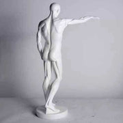 Anatomy Of Man Outdoor/Indoor Statue - Bella Statues