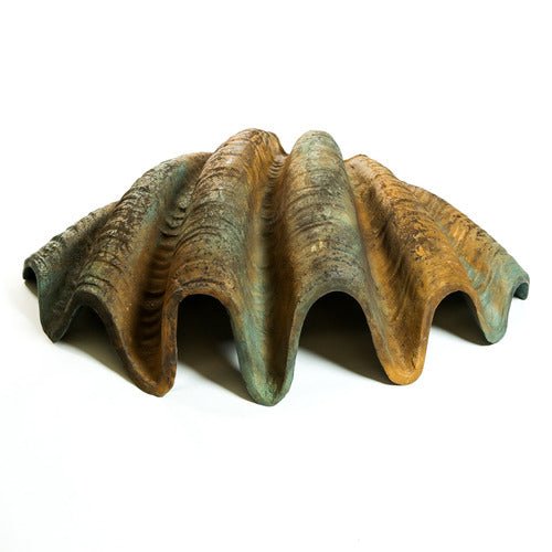 Lifesize Atlantic Clam - Lg 47 Wide Outdoor/Indoor Statue - Bella Statues