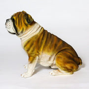 Custom Painted BULL DOG Outdoor/Indoor Statue - Bella Statues