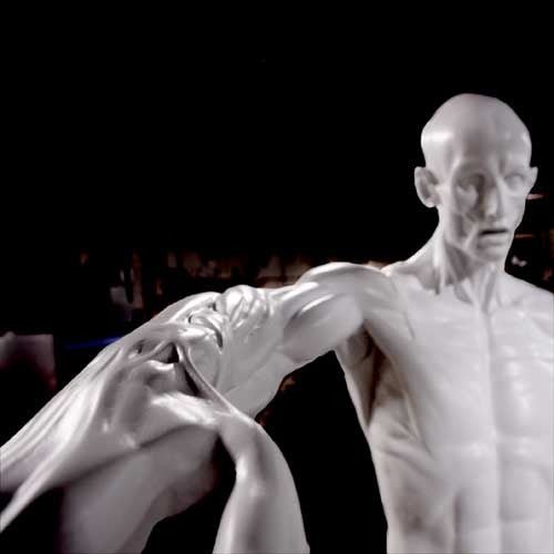 Lifesize Anatomy Of Man Outdoor/Indoor Statue - Bella Statues