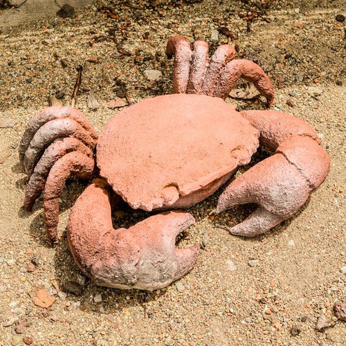 Stone Crab Outdoor/Indoor Statue - Bella Statues