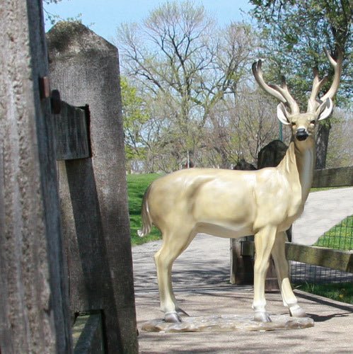 Custom Painted Lifesize White Tail Deer 64 Outdoor/Indoor Statue - Bella Statues
