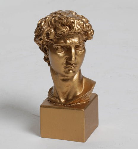 SEE AK21 David Bust On Blo Outdoor/Indoor Statue - Bella Statues