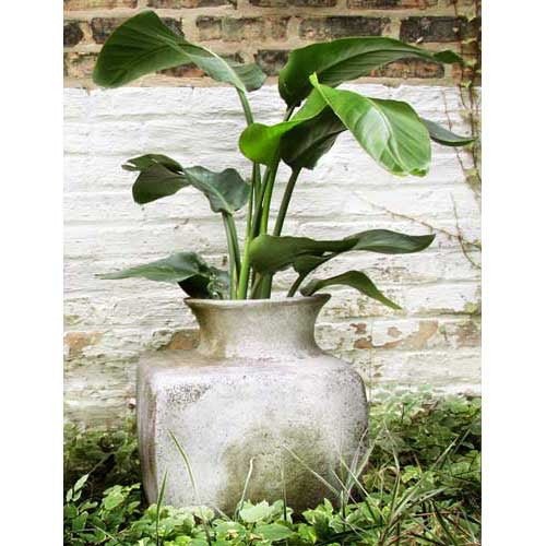 Perfume Vase Square 17 Outdoor/Indoor Statue - Bella Statues