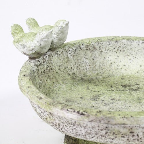 Finch Bird Bath 6in Outdoor/Indoor Statue - Bella Statues