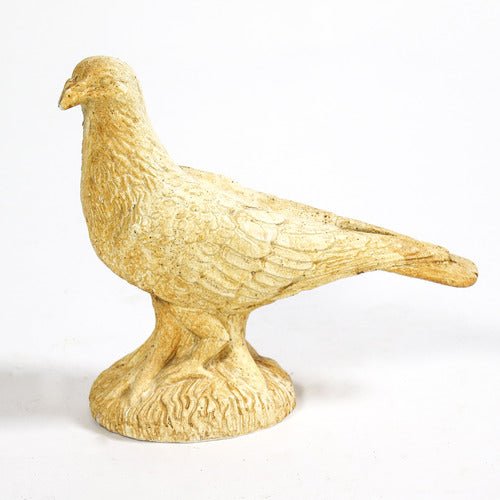 Garden Pigeon Outdoor/Indoor Statue - Bella Statues