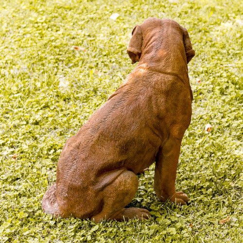 St. Bernard Dog 24 Outdoor/Indoor Statue - Bella Statues