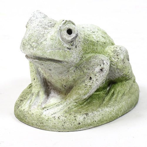 Hypno Frog Outdoor/Indoor Statue - Bella Statues