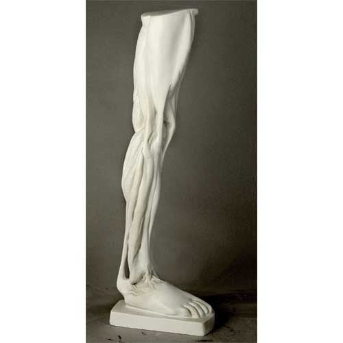 Anatomical Leg Outdoor/Indoor Statue - Bella Statues