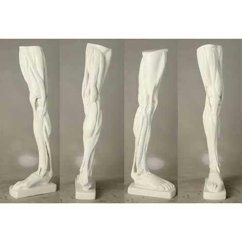 Anatomical Leg Outdoor/Indoor Statue - Bella Statues