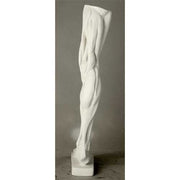 Anatomical Leg Outdoor/Indoor Statue - Bella Statues