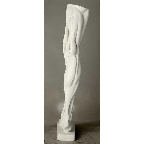 Anatomical Leg Outdoor/Indoor Statue - Bella Statues