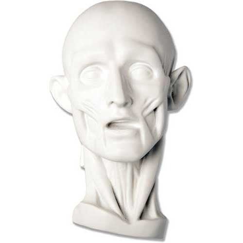 Anatomy Mask Outdoor/Indoor Statue - Bella Statues