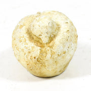 Dove - Small 4H Outdoor/Indoor Statue - Bella Statues