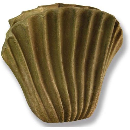 Wavey Fan Shell 16 Outdoor/Indoor Statue - Bella Statues
