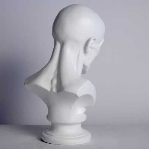 Anatomy Bust Outdoor/Indoor Statue - Bella Statues
