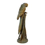 Lifesize Maccau On Perch 52 Outdoor/Indoor Statue - Bella Statues