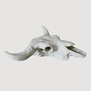 Cow Skull Outdoor/Indoor Statue - Bella Statues