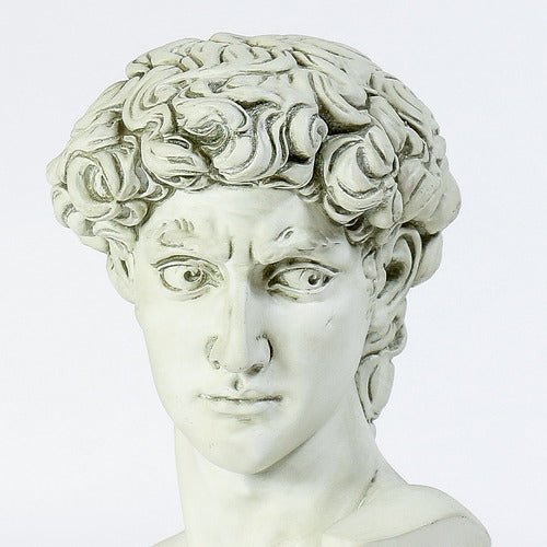 David Bust Medium 17 Outdoor/Indoor Statue - Bella Statues