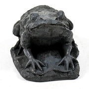 Pond Frog Outdoor/Indoor Statue - Bella Statues
