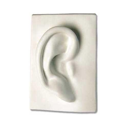 Right Ear 7 Outdoor/Indoor Statue - Bella Statues