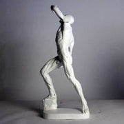 Anatomy Of Man Outdoor/Indoor Statue - Bella Statues
