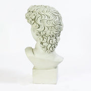 David Bust Medium 17 Outdoor/Indoor Statue - Bella Statues