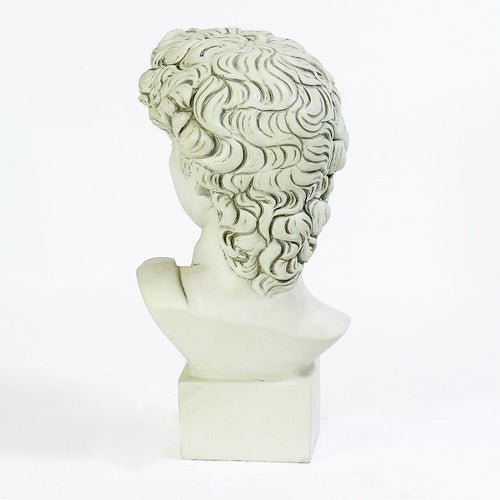 David Bust Medium 17 Outdoor/Indoor Statue - Bella Statues