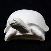 Sand Turtle 10 Outdoor/Indoor Statue - Bella Statues
