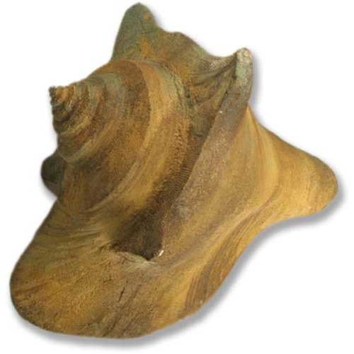 Lifesize Deep Sea Shell 36 Outdoor/Indoor Statue - Bella Statues