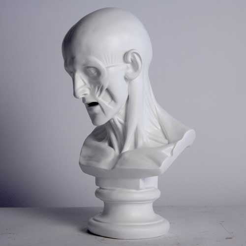 Anatomy Bust Outdoor/Indoor Statue - Bella Statues