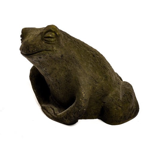 Toad Dude 6 Outdoor/Indoor Statue - Bella Statues