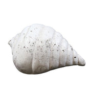 Gulf Shell Outdoor/Indoor Statue - Bella Statues