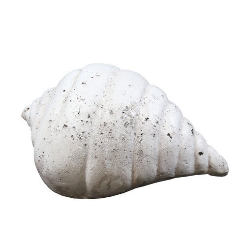Gulf Shell Outdoor/Indoor Statue - Bella Statues