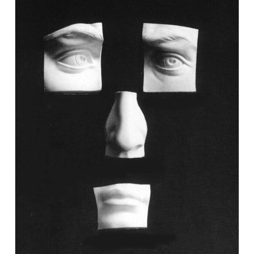 David's Face Set (size varies Outdoor/Indoor Statue - Bella Statues