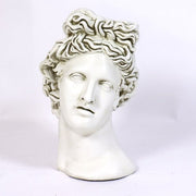 Apollo Head Planter 17 Outdoor/Indoor Statue - Bella Statues